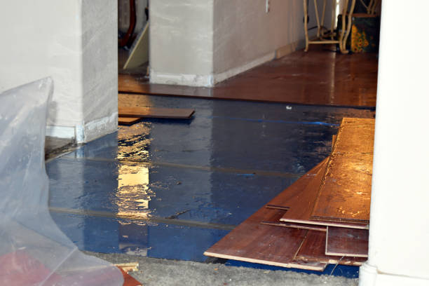 Professional Sewage Cleanup technician working in Houston, MN